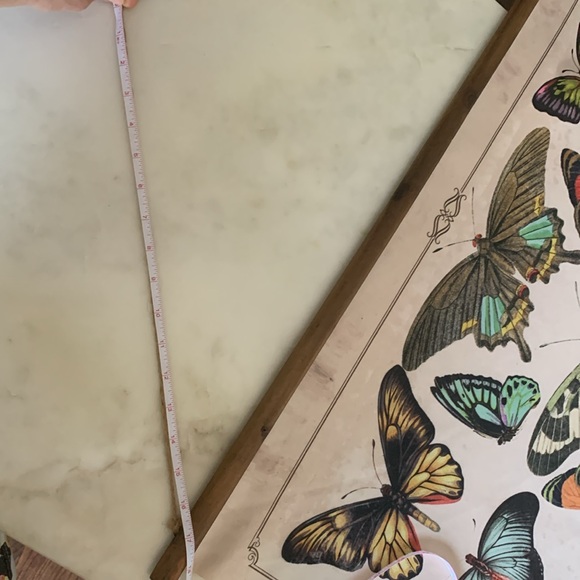 Butterflies Burlap & Wood Scroll Wall Décor - Picture 9 of 15